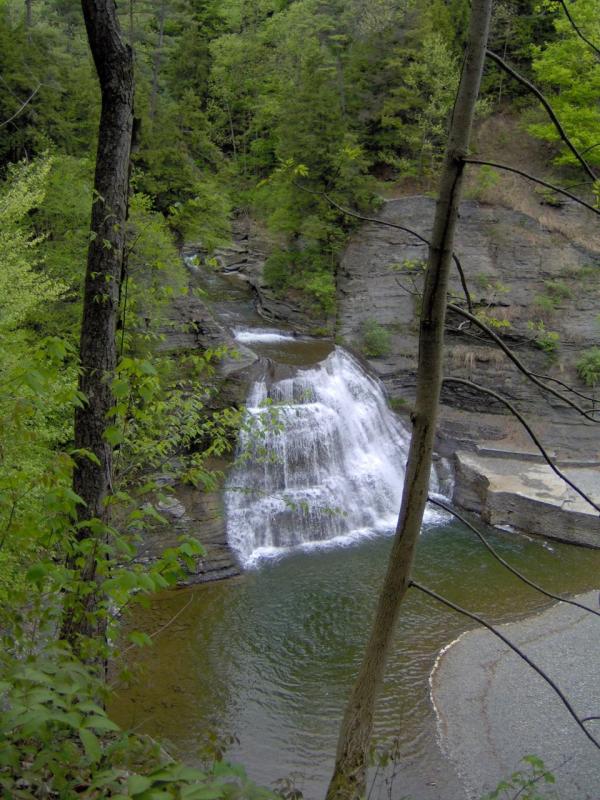 Lower Falls